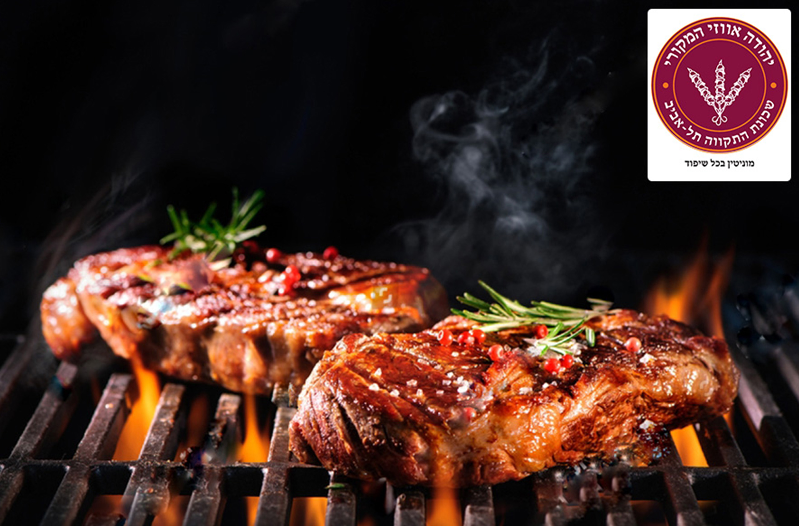 אווזי שכונת התקווה שתי לאפות באווזי הכשרה שכונת התקווה – תמונה 1